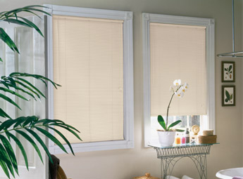 Horizontal Blinds