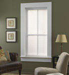 Horizontal Vinyl Blinds