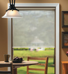 Solar Roller Shades