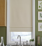 Vinyl Roller Shades